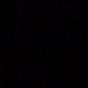 Meet your Posher, Eva